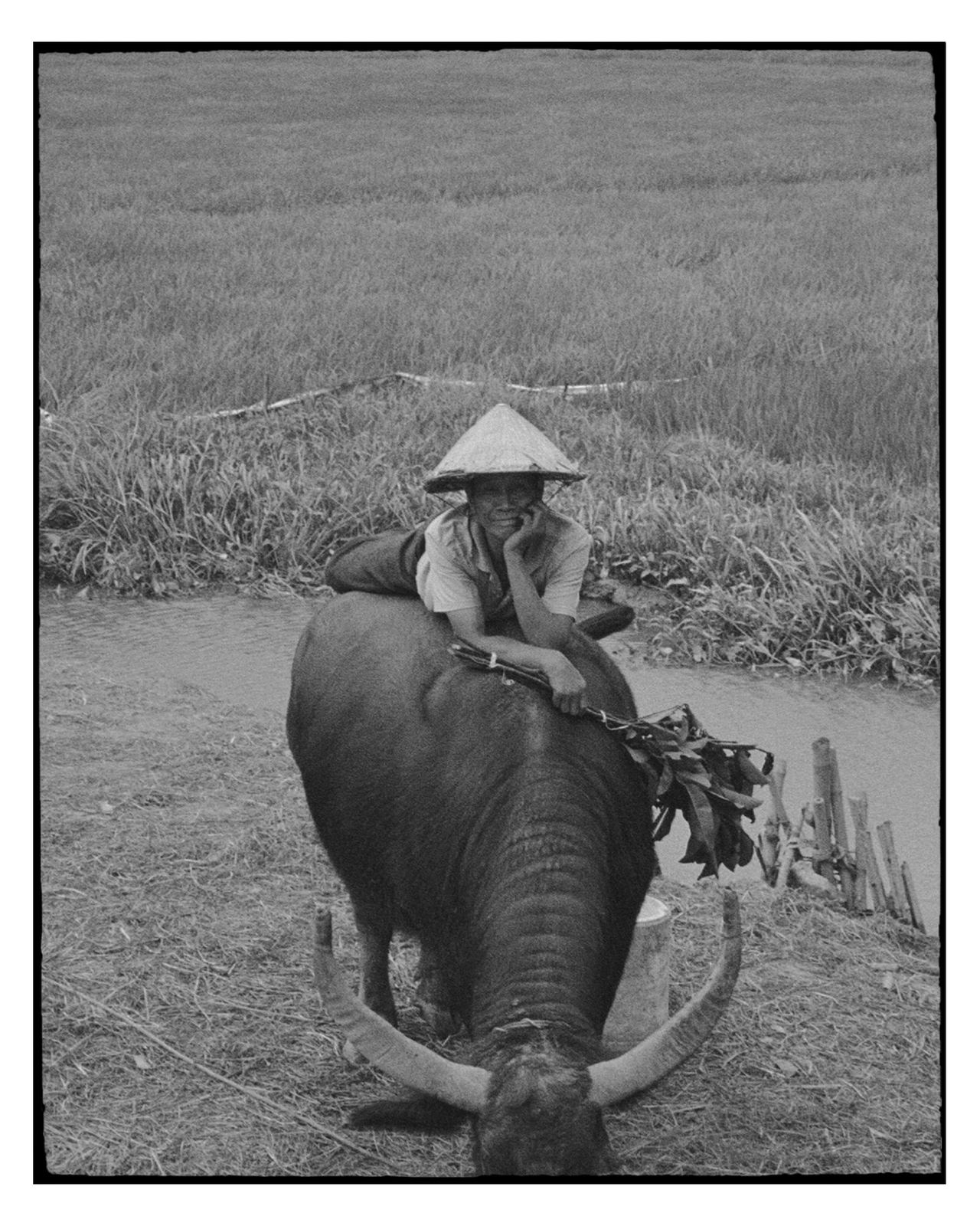 Photograph by Cheyenne Krieger