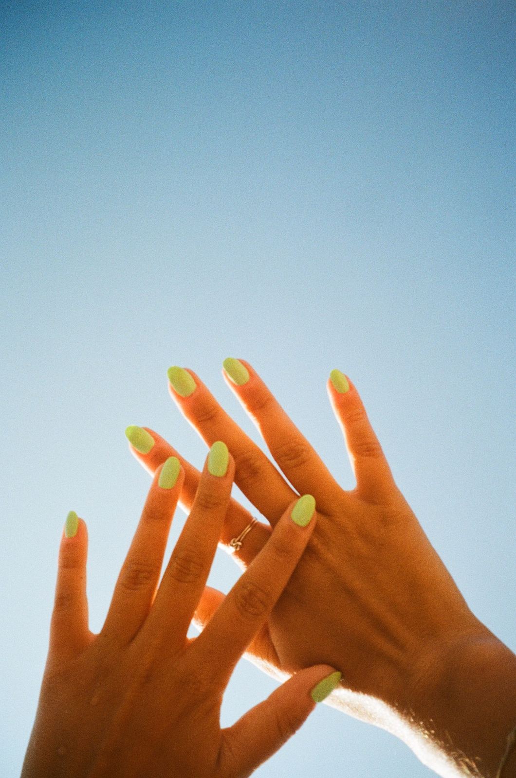 Photograph by Cheyenne Krieger