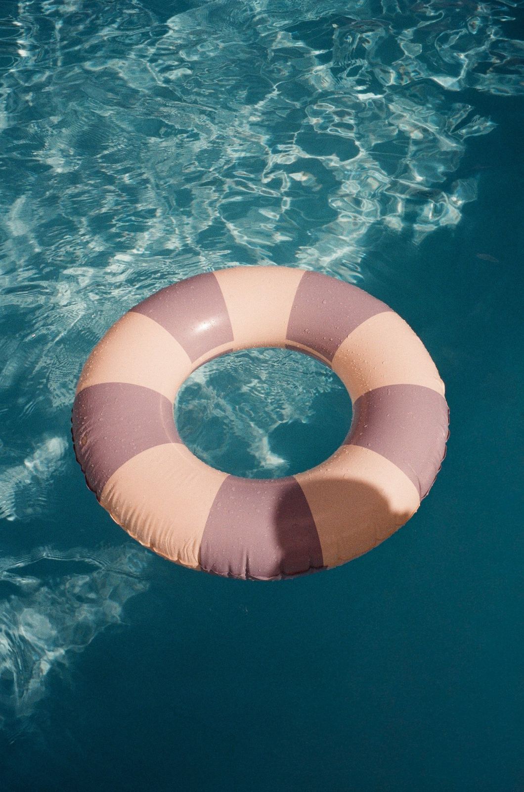 Photograph by Cheyenne Krieger