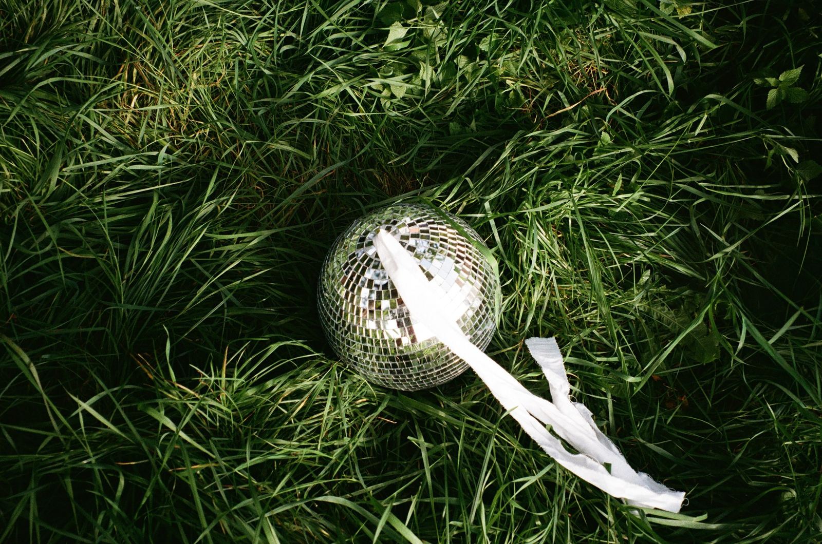 Photograph by Cheyenne Krieger