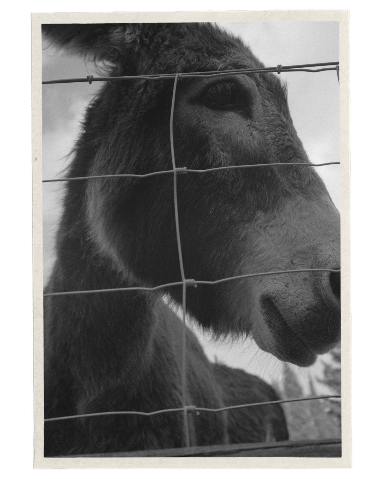 Photograph by Cheyenne Krieger