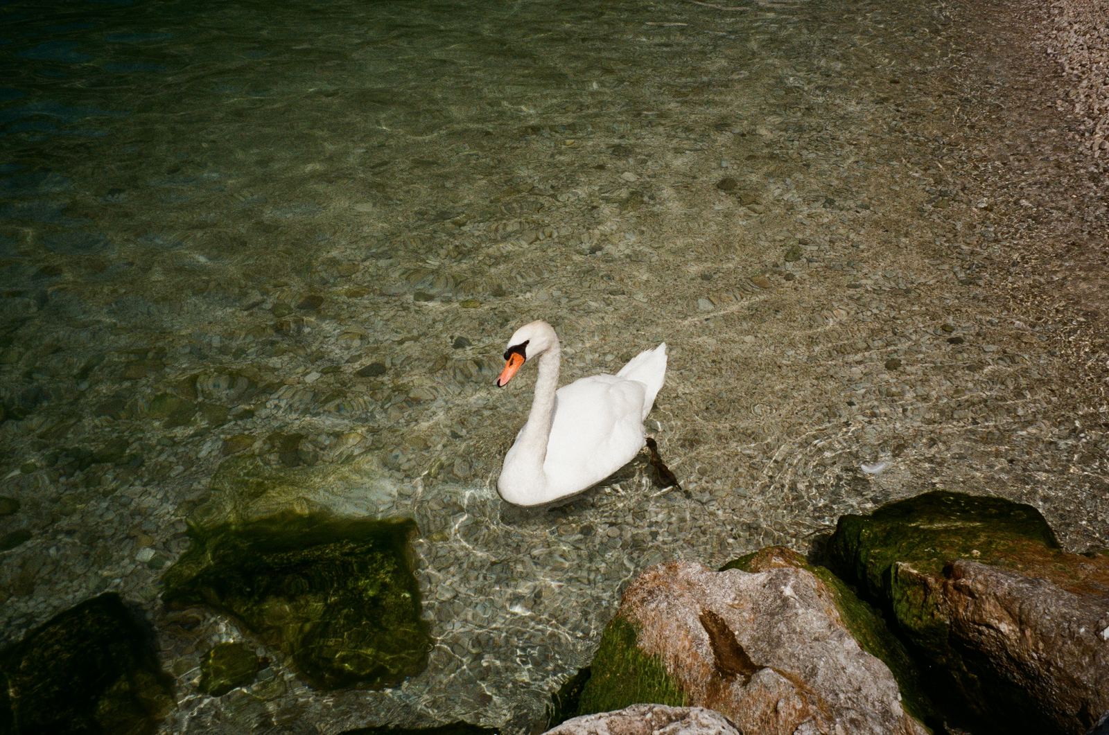 Photograph by Cheyenne Krieger